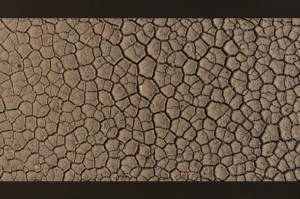 Realistic Cracked Soil Texture Background
