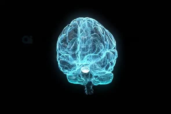 3D Holographic Brain Visualization on Black Background