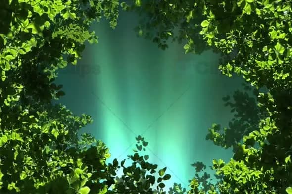 Sunlit Green Leaves with Glowing Sky Background