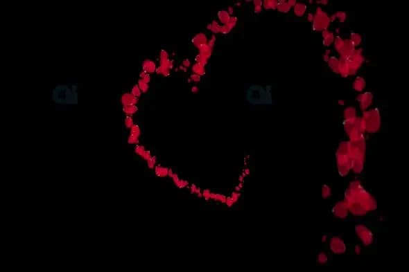 Romantic Heart Made of Falling Rose Petals Animation