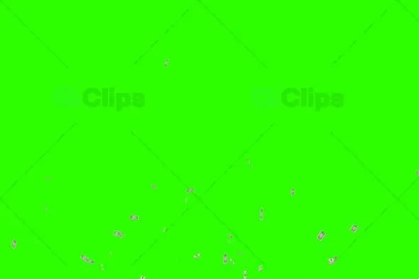 Falling Money Animation with Green Screen Background