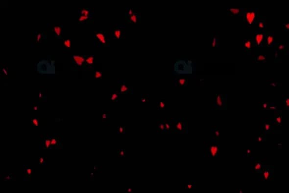 Falling Red Heart Particles on Black Background