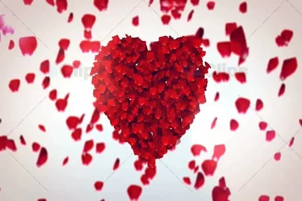 Heart Shaped Rose Petals Animation with Falling Petals