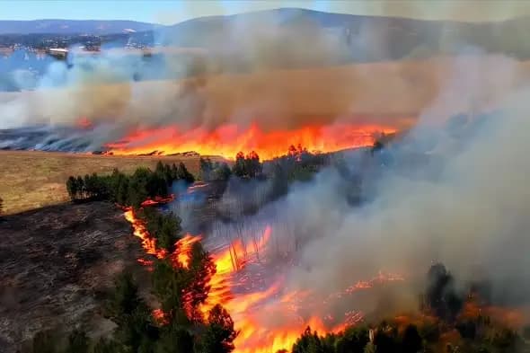Intense Forest Wildfire Spreading Across Mountain Landscape