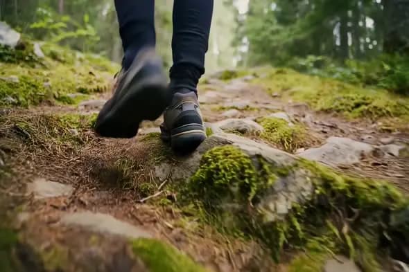 Hiking Boots Walking on Mossy Forest Trail Close-up
