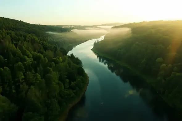 Misty River Valley Sunrise Through Dense Forest Aerial View