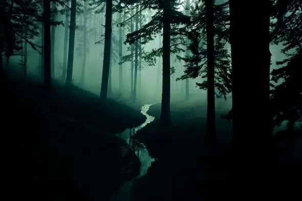 Misty Forest Stream in Ethereal Teal Twilight