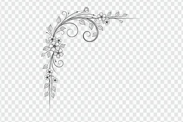 Elegant Floral Vine Swirl Corner Border Line Art PNG