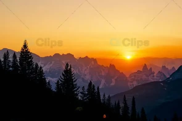 Majestic Mountain Sunset Behind Pine Forest Silhouettes