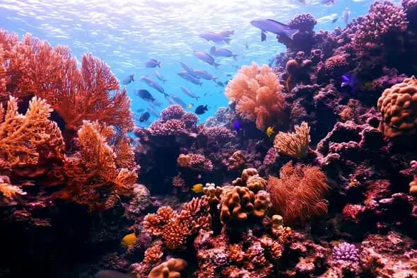 Vibrant Coral Reef Ecosystem with Swimming Tropical Fish