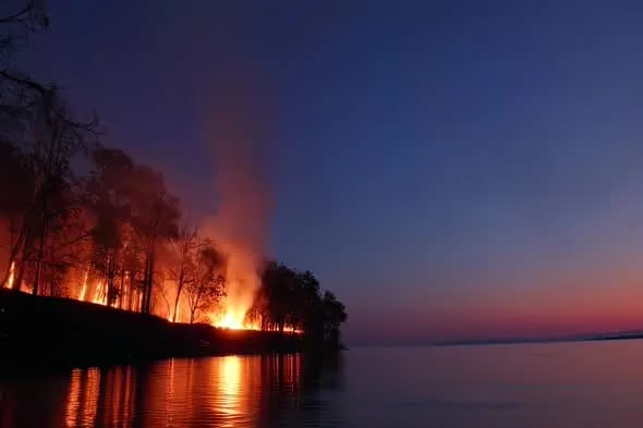 Forest Fire Blazing Along Tranquil Lakeshore at Dusk