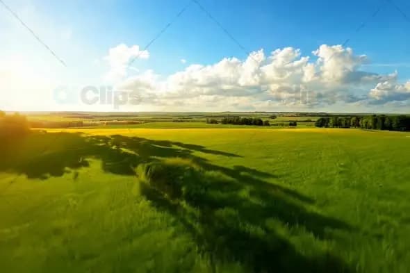 Aerial View of Sunlit Green Meadows with Rolling Hills at Golden Hour