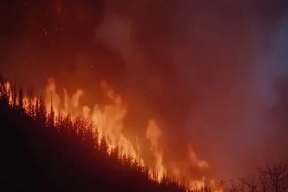 Intense Forest Wildfire Burning Along Mountain Ridge at Night