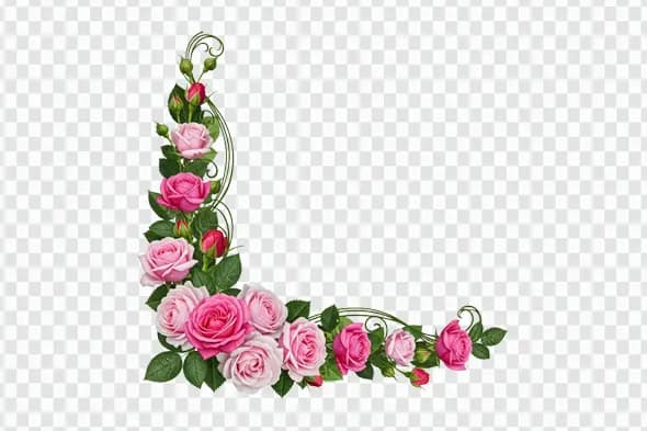 Realistic Pink Rose Corner Border with Swirls PNG