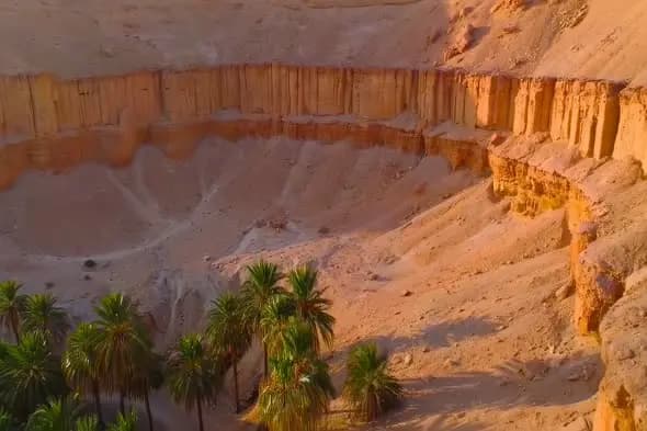 Desert Oasis Palm Trees Against Sandstone Canyon Cliffs