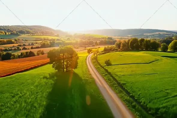 Aerial View of Rural Country Road at Golden Sunset Through Fields