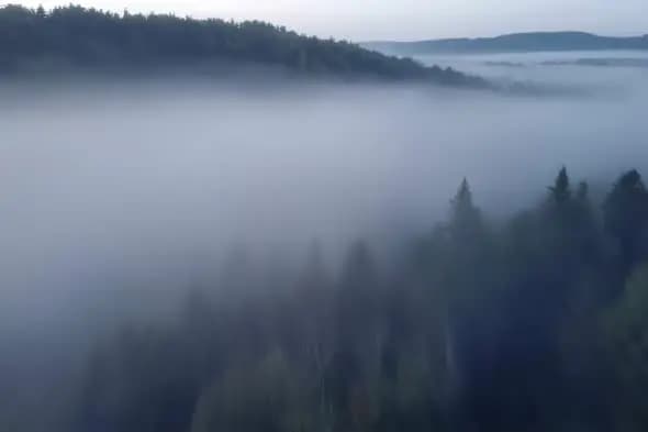 Misty Mountain Forest Landscape with Rolling Fog at Dawn