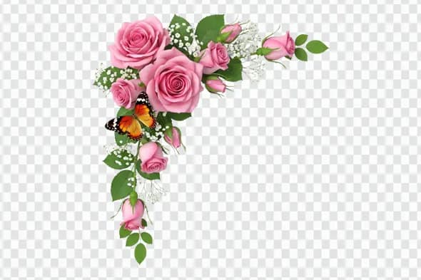 Pink Roses Butterfly and Gypsophila Corner Clipart PNG