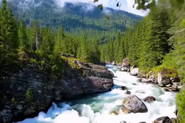 Rushing Mountain River Through Evergreen Forest Gorge