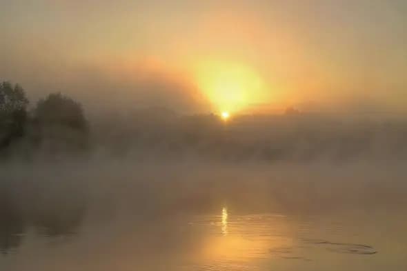 Misty Lake Sunrise with Golden Reflection