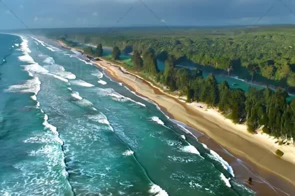 Aerial View of Pristine Coastal Beach with Rolling Waves and Pine Forest
