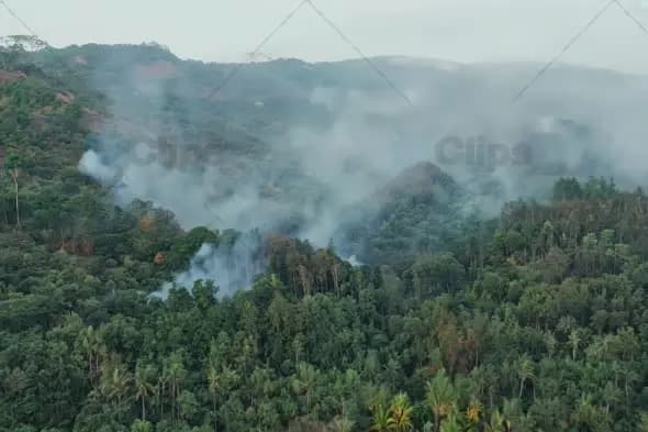 Smoke Rising from Tropical Forest Mountains
