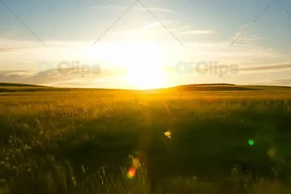 Golden Sunset Over Vast Prairie Grassland