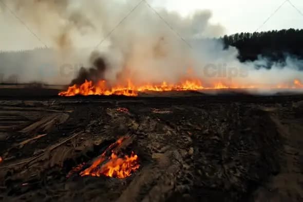 Raging Wildfire Spreading Across Scorched Forest Ground