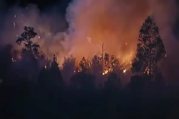 Forest Wildfire at Night with Glowing Orange Sky