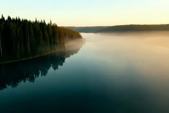 Misty Lake Sunrise with Pine Forest Reflection