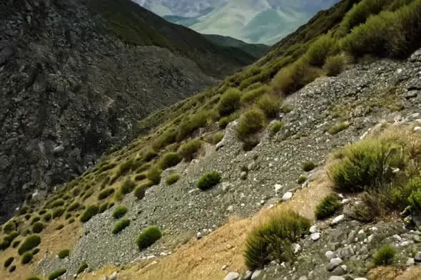 Rugged Mountain Slopes with Scattered Alpine Vegetation
