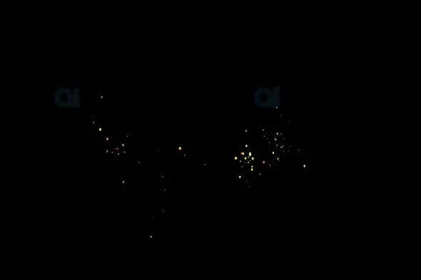 Golden Particle Swirl Animation on Black Background