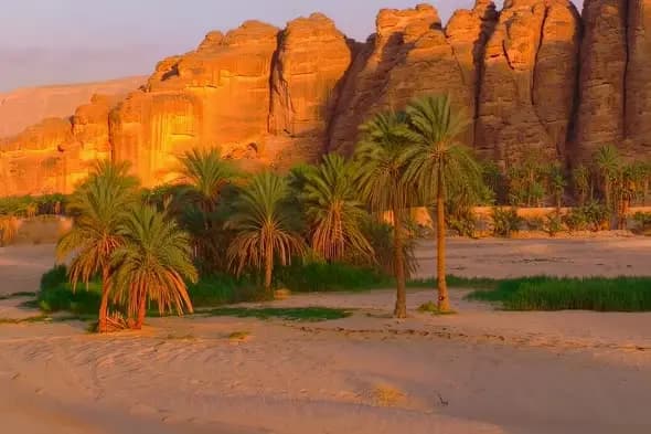 Desert Oasis with Palm Trees Against Sandstone Cliffs at Sunset