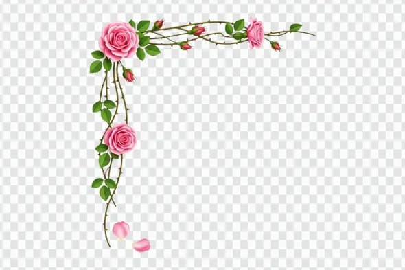 Thorny Pink Rose Vine Floral Corner Element Clipart