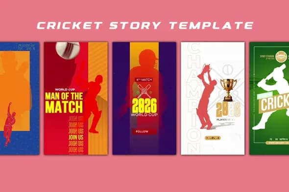 Dynamic Cricket Tournament Story Template