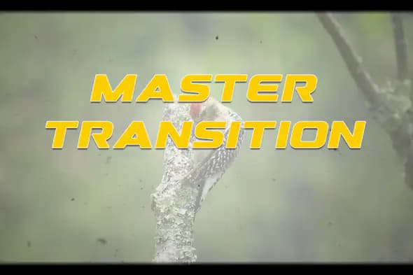 Splash Transition Pack