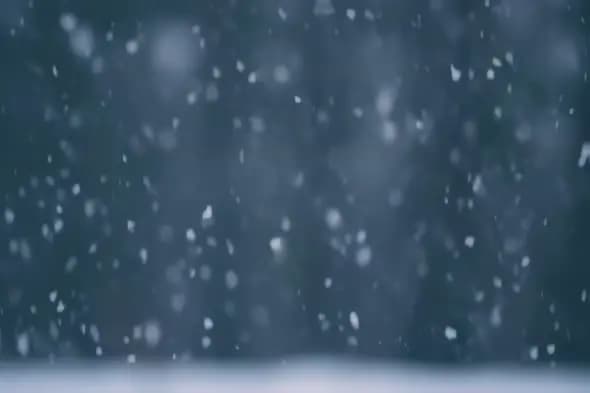Gentle Snowfall Against Dark Sky Winter Wonderland Scene