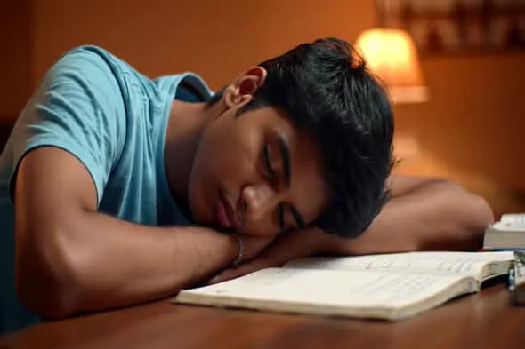 Exhausted Student Napping During Study