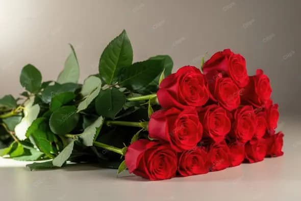 Elegant Arrangement of Classic Red Roses