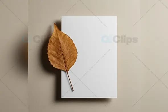 Minimalist Mockup with White Card and Dried Leaf
