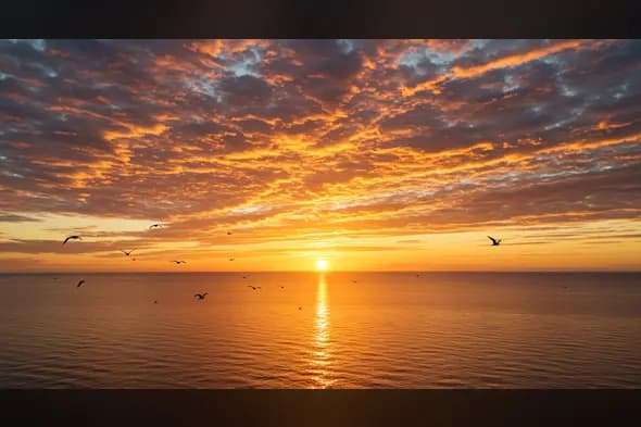 Golden Sunrise Over Calm Ocean with Birds – Nature Background