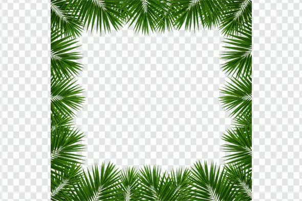 Tropical Palm Leaf Border Frame PNG Clipart