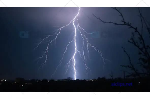 Branched Lightning Strike at Night