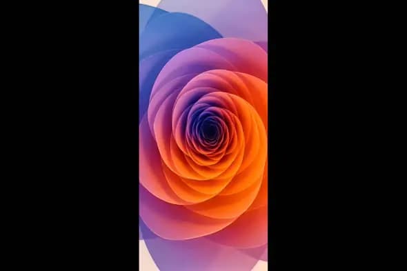 Hypnotic Multicolored Spiral Rose Background for Presentations