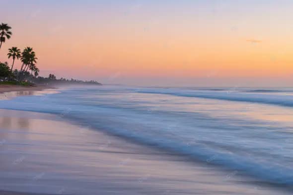 Tranquil Tropical Shoreline Dawn