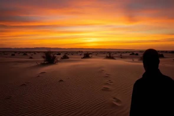Breathtaking Desert Sunset Landscape Silhouette Dunes Backdrop