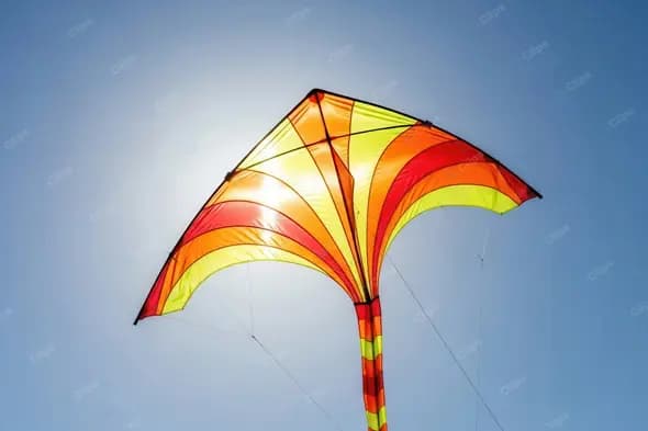 Sunlit Colorful Kite Soaring High
