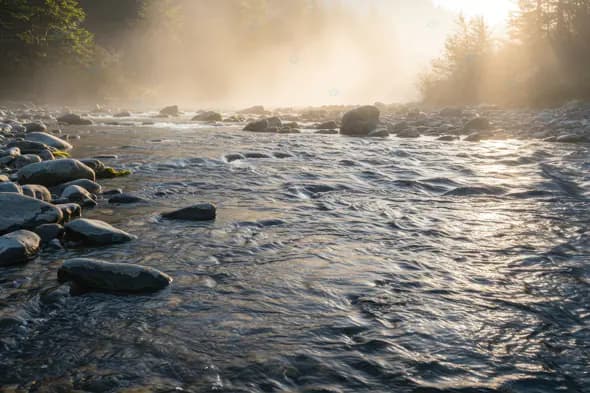 Misty River Sunrise