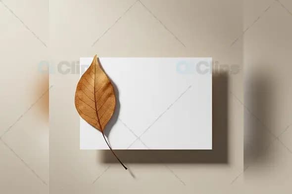 Minimalist White Card Mockup with Brown Leaf