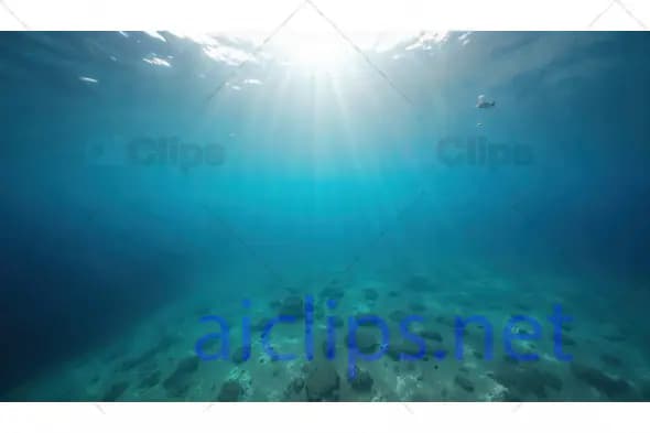 Underwater Ocean Sun Rays